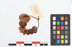 Foto von Perlenkette (NHMW-PRAE-026296)